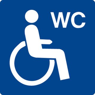 Piktogramm "Barrierefreies WC" 10 x 10cm Folie selbstklebend