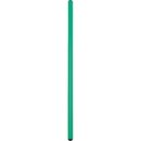 Gymnastikstab aus Kunststoff Rot 100 cm