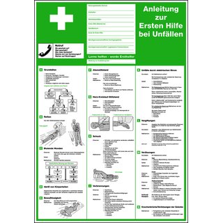 Aushang, Anleitung zur Ersten Hilfe bei Unfällen - verschiedene Sprachen Englisch, Größe: 595 x 410mm