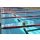 Competitor Schwimmleine gold pro 50 m, 150 mm, Official FINA